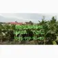 Тютюн табак опт розниця. Вирджиния. Берли. Вирджиния Голд. Винстон. Кэмэл. Честер. Гильзы - фото № 8