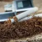 Табак лапшой 0.5-0.8 Берли Вирджиния Махорка-Европейского качества!низкая цена - фото № 5
