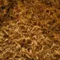 Реализация недорого табака оптом и в розницу! Гильзы с длинным фильтром!Електромашин - фото № 10