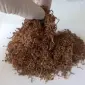 Реализация недорого табака оптом и в розницу! Гильзы с длинным фильтром!Електромашин - фото № 15