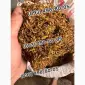 Дюбек Гавана Берли Кап Блек Вирджиния Махорка Прилуки Винстон Парламент - фото № 19