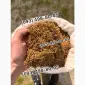 Дюбек Гавана Берли Кап Блек Вирджиния Махорка Прилуки Винстон Парламент - фото № 16