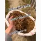 Дюбек Гавана Берли Кап Блек Вирджиния Махорка Прилуки Винстон Парламент - фото № 15