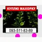 Махорка для нас - фото № 1