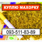Закупівля махорки та тютюну - фото № 1