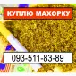 Махорка и другое по тютюну - фото № 1