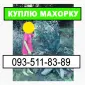 Махорка ее остатки и другое - фото № 1