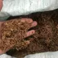 Продам табак хорошего качества - фото № 1
