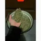 Продам Махорку Самосад без пыли и мусора! Супер цена - фото № 1