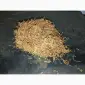 Тютюн домашній самосад не гірчить не пече Махорка - фото № 2