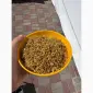Купуй тютюнчик в нас - фото № 2