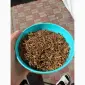 Купуй тютюнчик в нас - фото № 4