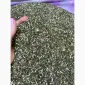 Продам самосад - фото № 2