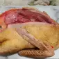 Тушки мускусных уток (индоутки, шипуны) - фото № 1