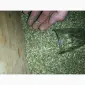 Табак самосад домашній давай сюди! махорка наша сільська - фото № 1