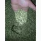 Замічатєльний табак пропоную вам є ще махорка самосад тютюн то що нада вам - фото № 3