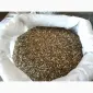 САмосад - фото № 2