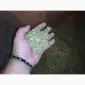 Домашние табаки не без палок и мусора Махорка Берли Дюбек Вирджиния - фото № 2