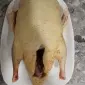 Качки . Тушки качок - фото № 1