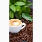Кофе LAVAZZA Crema RICCA в зернах - фото № 1