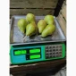 Продаются груши сорта Ноябрьская - фото № 5