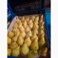 Продам грушу Ноябрьську - фото № 1