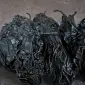 Продається сушена груша сорту Ноябрська - фото № 4