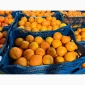 Мандарины из Египта оптом - фото № 2