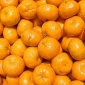 Продаются мандарины грузинские оптом - фото № 1