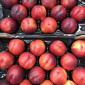 Продажа нектаринов из Испании - фото № 1