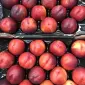 Продаж нектаринів з Іспанії - фото № 1