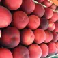 Продаємо персики - фото № 2