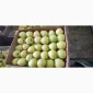 Продам яблука - фото № 7