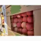 Продам яблоки из холодильника газоване - фото № 1