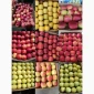 Продам яблука Пінова Флоріна Айдаред Чемпіон Ліголь Голден - фото № 9