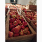 Продаются яблоки различных сортов - фото № 5