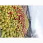 Куплю яблоки на переработку, самовывоз от 24 тонн - фото № 1