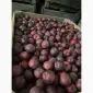 Продаються яблука: Голден, Фуджі, Джеромін, Гала високої якості у Вінниці - фото № 8