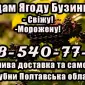 На постоянной основе реализую ягоду бузины собственной заготовки - фото № 1