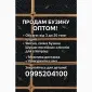 Продам бузину оптом любой объем - фото № 1