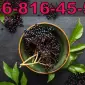 Закуповуємо бузину на ящик та бочку!Висока оплата за продукцію - фото № 1