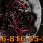 Куплю бузину за высокими ценами - фото № 1