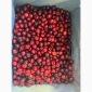 Продам вишню б/к. Свіжоморожена - фото № 1