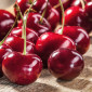 Закупка вишни на постоянной основе - фото № 1