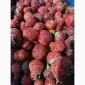 Продам клубнику замороженную с хвостиком - фото № 1