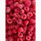 Купуємо заморожену малину оптом - фото № 1