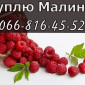 Закупівля малини на постійній основі - фото № 1