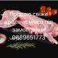 Продажа кроликов и кроличьих тушек - фото № 1