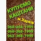 Куплю каштаны оптом Харьков - фото № 1