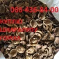 Куплю шкаралупу грецького горіха - фото № 1